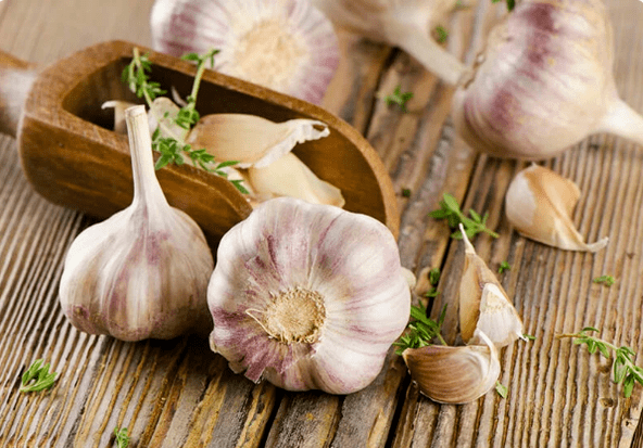 Garlic from worms