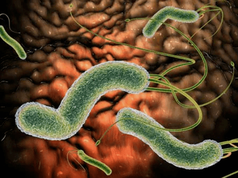 What parasites can be in the body