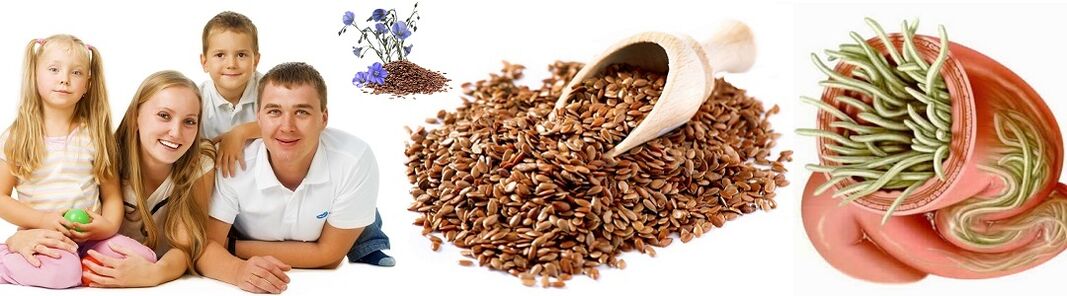 Popular remedies for family health parasites