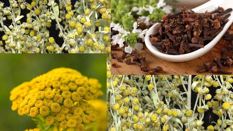 Popular remedies for parasites